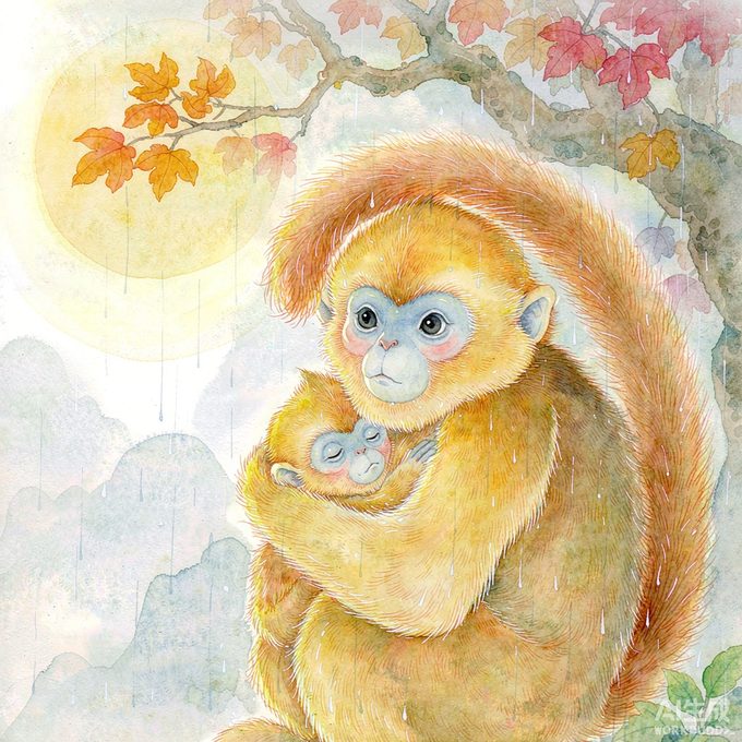小金丝猴绒绒的阿嚏小雨伞