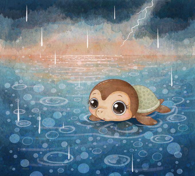 小海龟点点的雨点小鼓